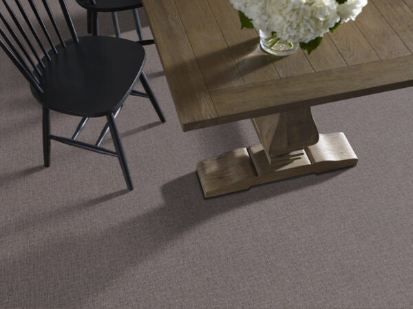 Shaw Floors Carpet Wayfarer Portland 00576_ZZ225 - Image 2