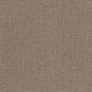 Shaw Floors Carpet Wayfarer Plains 00753_ZZ225