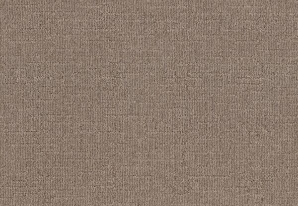Shaw Floors Carpet Wayfarer Plains 00753_ZZ225