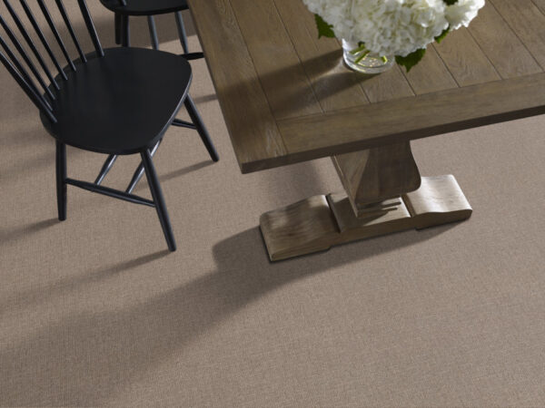 Shaw Floors Carpet Wayfarer Plains 00753_ZZ225 - Image 2