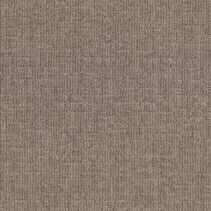 Shaw Floors Carpet Wayfarer Driftwood 00755_ZZ225