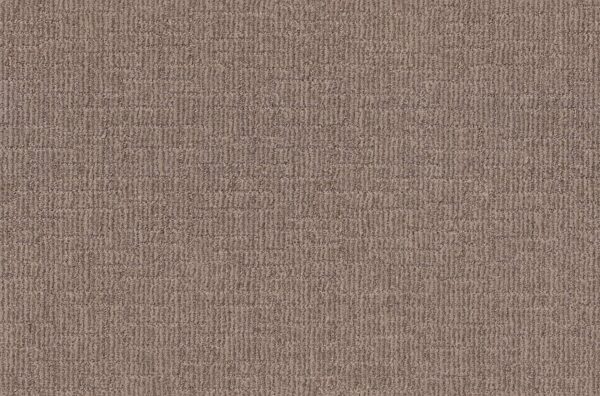 Shaw Floors Carpet Wayfarer Driftwood 00755_ZZ225