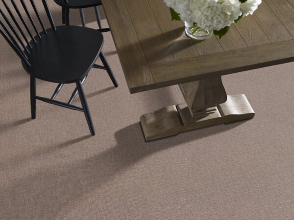 Shaw Floors Carpet Wayfarer Driftwood 00755_ZZ225 - Image 2
