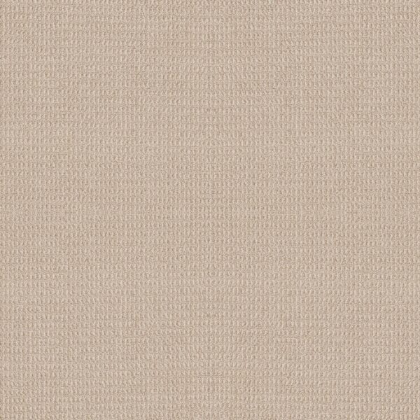 Shaw Floors Carpet Portofino Linen 00111_ZZ232