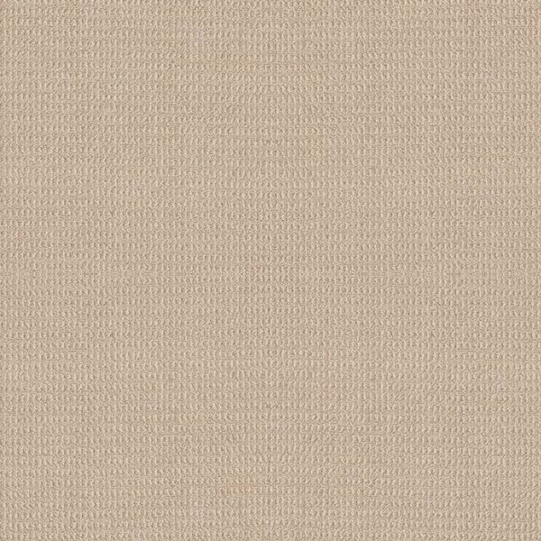 Shaw Floors Carpet Portofino Verona Beach 00123_ZZ232