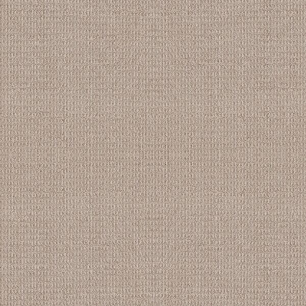 Shaw Floors Carpet Portofino Muslin 00132_ZZ232