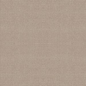 Shaw Floors Carpet Portofino Oxford Tan 00156_ZZ232