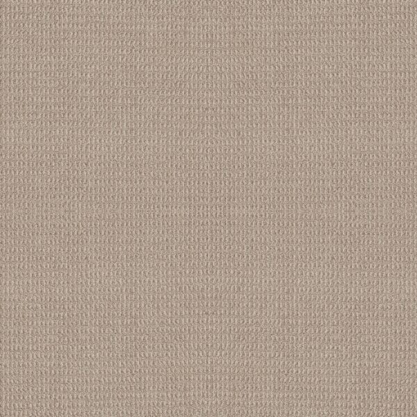 Shaw Floors Carpet Portofino Oxford Tan 00156_ZZ232