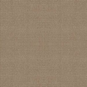 Shaw Floors Carpet Portofino Butterscotch 00225_ZZ232