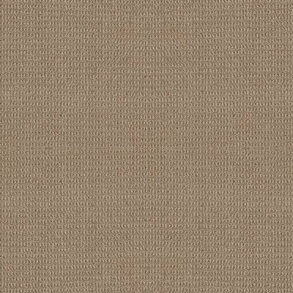Shaw Floors Carpet Portofino Butterscotch 00225_ZZ232
