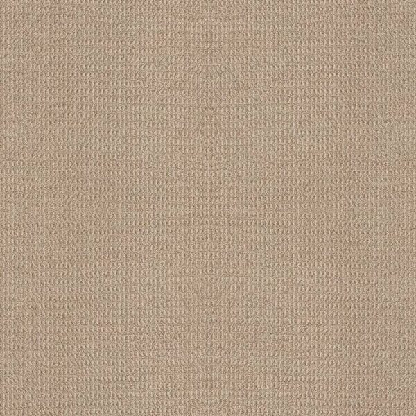 Shaw Floors Carpet Portofino High Noon 00232_ZZ232