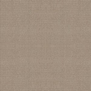 Shaw Floors Carpet Portofino Handwoven 00274_ZZ232