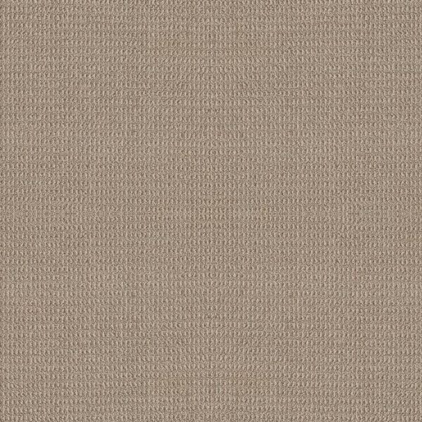 Shaw Floors Carpet Portofino Handwoven 00274_ZZ232
