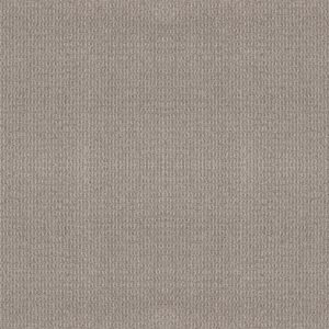 Shaw Floors Carpet Portofino Porous Stone 00523_ZZ232