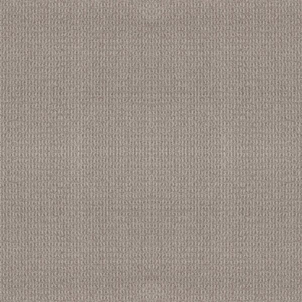 Shaw Floors Carpet Portofino Porous Stone 00523_ZZ232