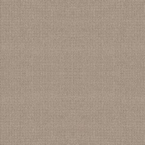 Shaw Floors Carpet Portofino Oyster 00532_ZZ232