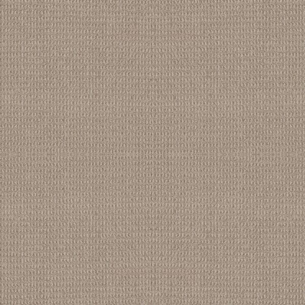 Shaw Floors Carpet Portofino Oyster 00532_ZZ232