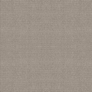 Shaw Floors Carpet Portofino Moonbeam 00542_ZZ232