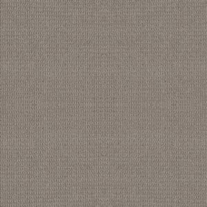 Shaw Floors Carpet Portofino London Fog 00544_ZZ232