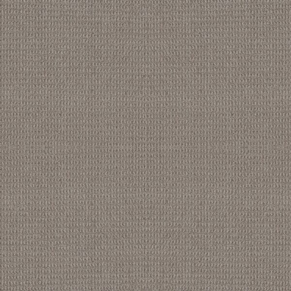 Shaw Floors Carpet Portofino London Fog 00544_ZZ232