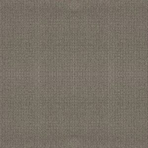 Shaw Floors Carpet Portofino Rock Ridge 00548_ZZ232