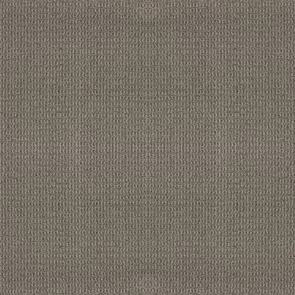 Shaw Floors Carpet Portofino Rock Ridge 00548_ZZ232