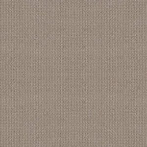 Shaw Floors Carpet Portofino Pumice 00553_ZZ232