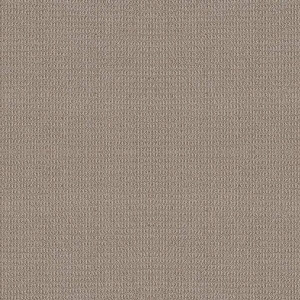 Shaw Floors Carpet Portofino Pumice 00553_ZZ232