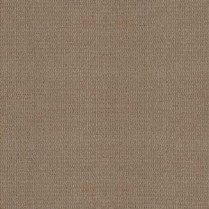 Shaw Floors Carpet Portofino Plaza Taupe 00734_ZZ232