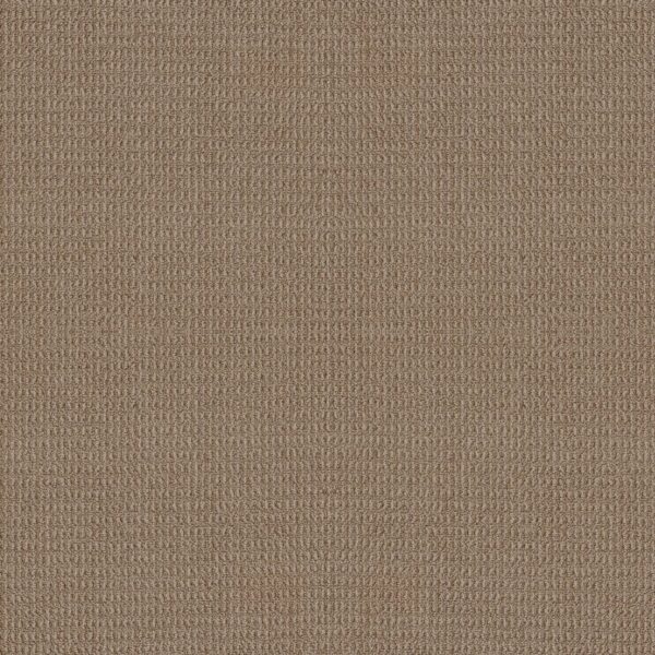 Shaw Floors Carpet Portofino Plaza Taupe 00734_ZZ232