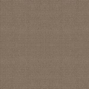 Shaw Floors Carpet Portofino Tuffet 00756_ZZ232
