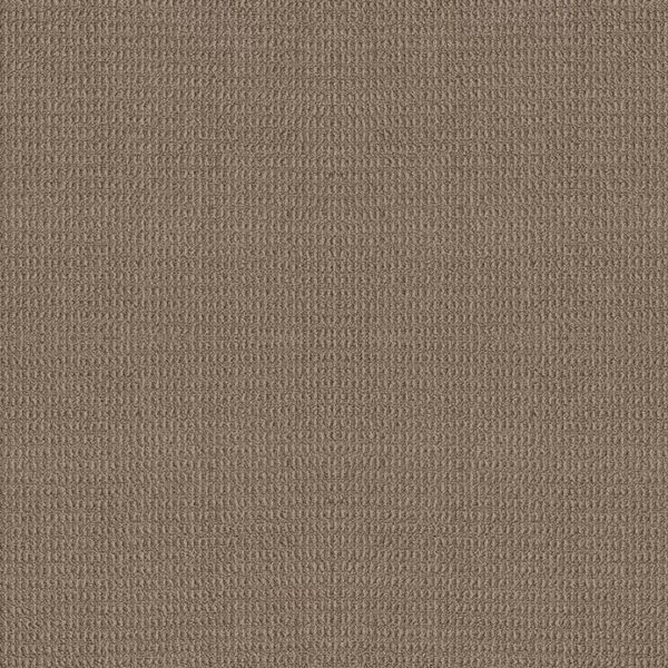 Shaw Floors Carpet Portofino Tuffet 00756_ZZ232
