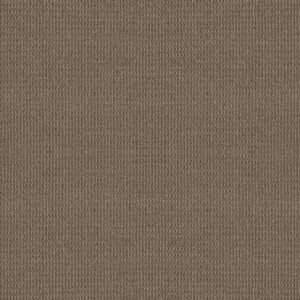 Shaw Floors Carpet Portofino Timber Wolf 00757_ZZ232