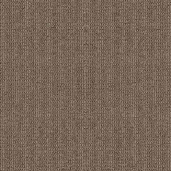 Shaw Floors Carpet Portofino Timber Wolf 00757_ZZ232
