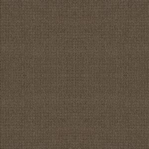 Shaw Floors Carpet Portofino Shitake 00758_ZZ232