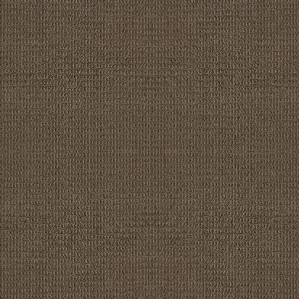 Shaw Floors Carpet Portofino Shitake 00758_ZZ232
