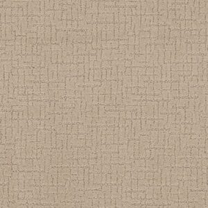 Shaw Floors Carpet One More Hour Silk 00112_ZZ233
