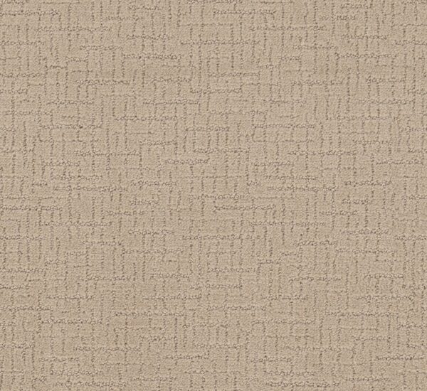 Shaw Floors Carpet One More Hour Silk 00112_ZZ233