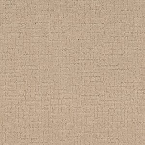 Shaw Floors Carpet One More Hour Halo 00121_ZZ233
