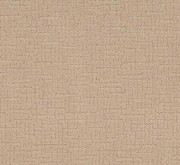Shaw Floors Carpet One More Hour Halo 00121_ZZ233