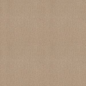 Shaw Floors Carpet One More Hour Pale 00123_ZZ233