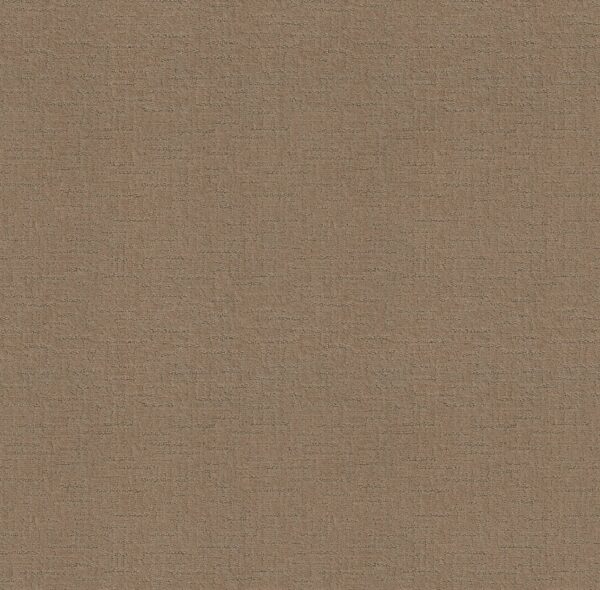 Shaw Floors Carpet One More Hour Desert Sand 00124_ZZ233