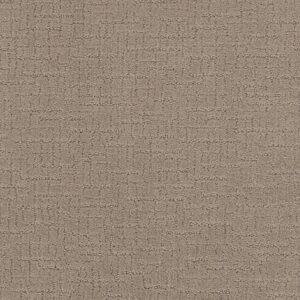 Shaw Floors Carpet One More Hour Birchwood 00171_ZZ233