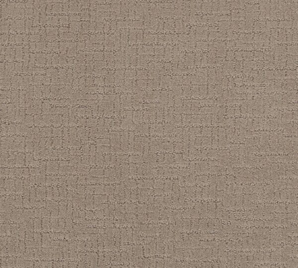 Shaw Floors Carpet One More Hour Birchwood 00171_ZZ233
