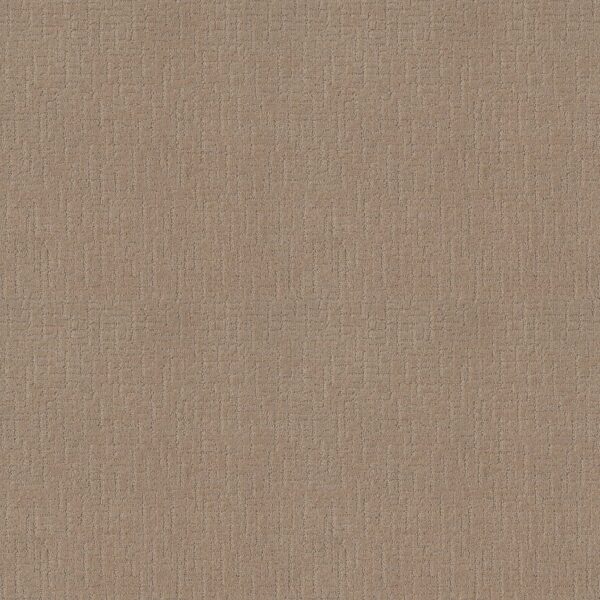 Shaw Floors Carpet One More Hour Tuscan 00172_ZZ233