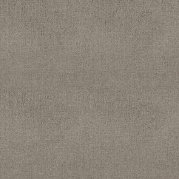 Shaw Floors Carpet One More Hour Serene 00511_ZZ233