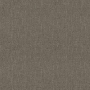 Shaw Floors Carpet One More Hour Silver Spoon 00525_ZZ233