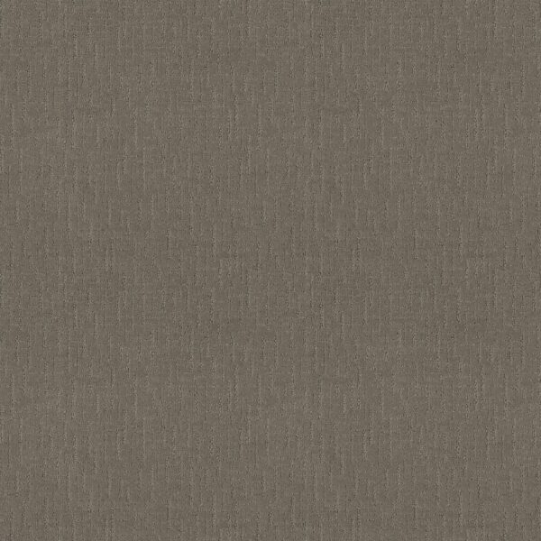 Shaw Floors Carpet One More Hour Silver Spoon 00525_ZZ233