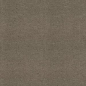 Shaw Floors Carpet One More Hour Gray Pearl 00555_ZZ233
