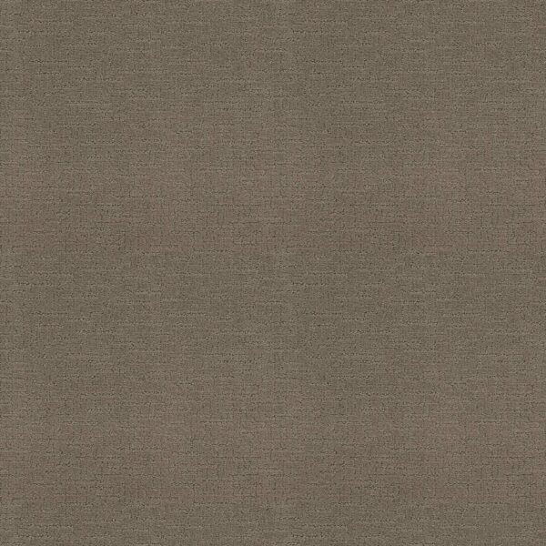 Shaw Floors Carpet One More Hour Gray Pearl 00555_ZZ233